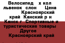 Велосипед 3-х кол. (львенок, слон ) › Цена ­ 5 000 - Красноярский край, Канский р-н, Канск г. Спортивные и туристические товары » Другое   . Красноярский край